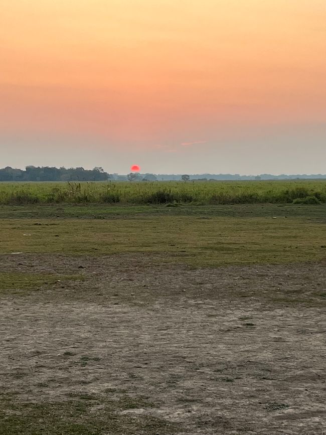 Weite Landschaft 