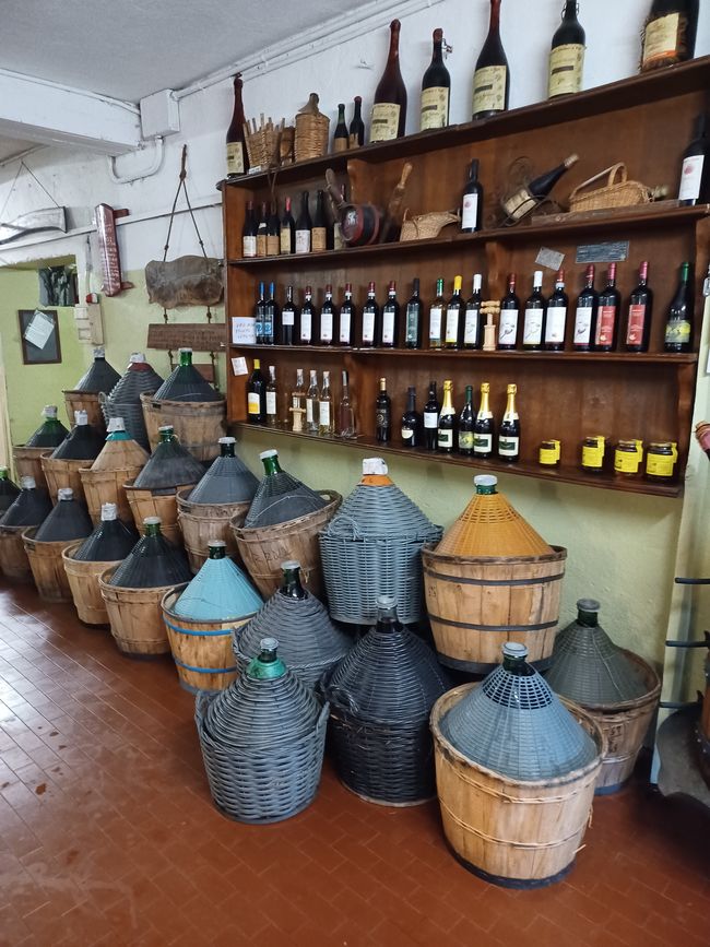 Recherche de truffes avec Stelvio