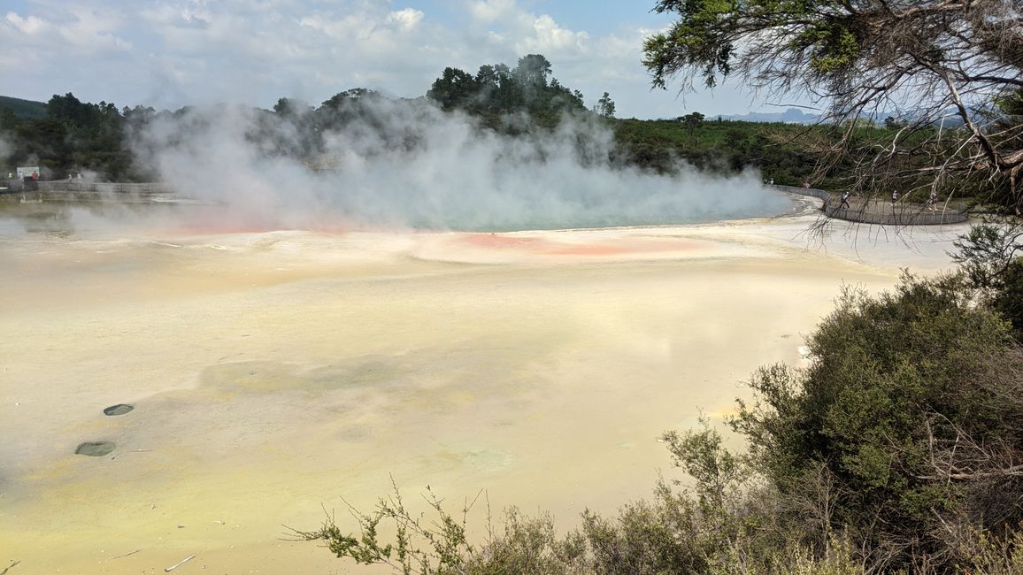 Wai-O-Tapu / Rotorua