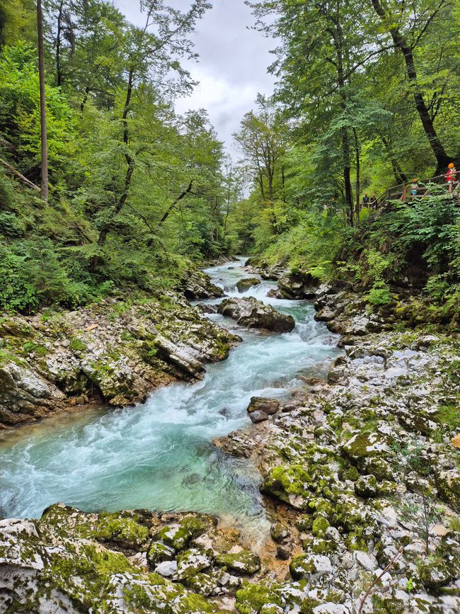 Vintgarklamm & Kremšnita👩‍♀️👨‍♂️