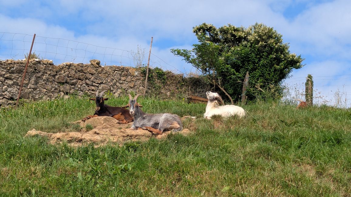 6. Etappe Camino del Norte von Güemes nach Somo