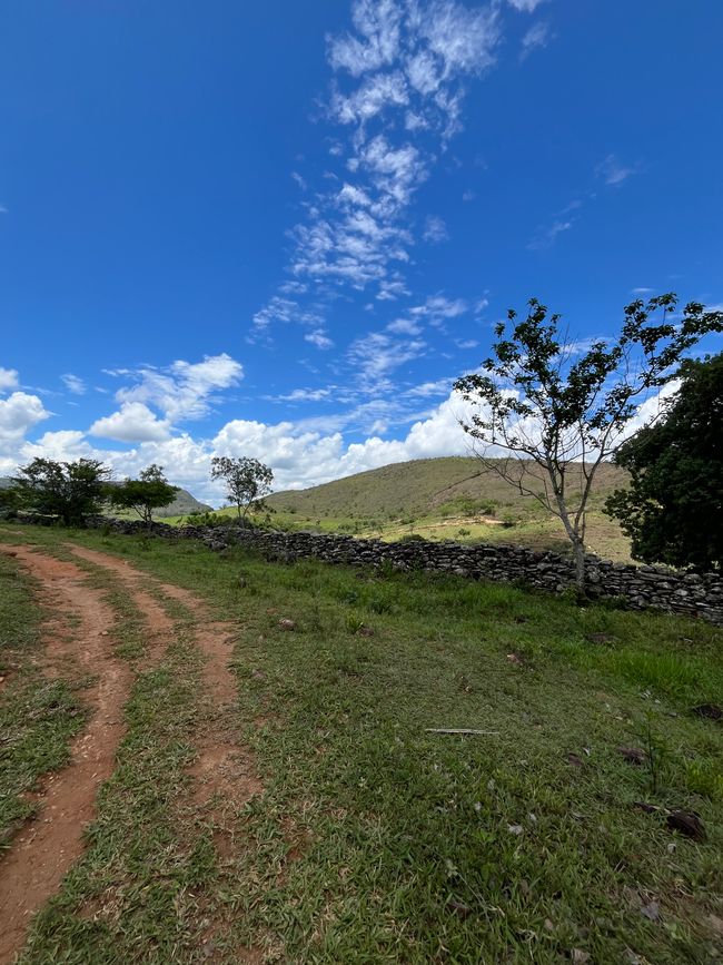 Cachoeira do Nego | Canastra Raiz
