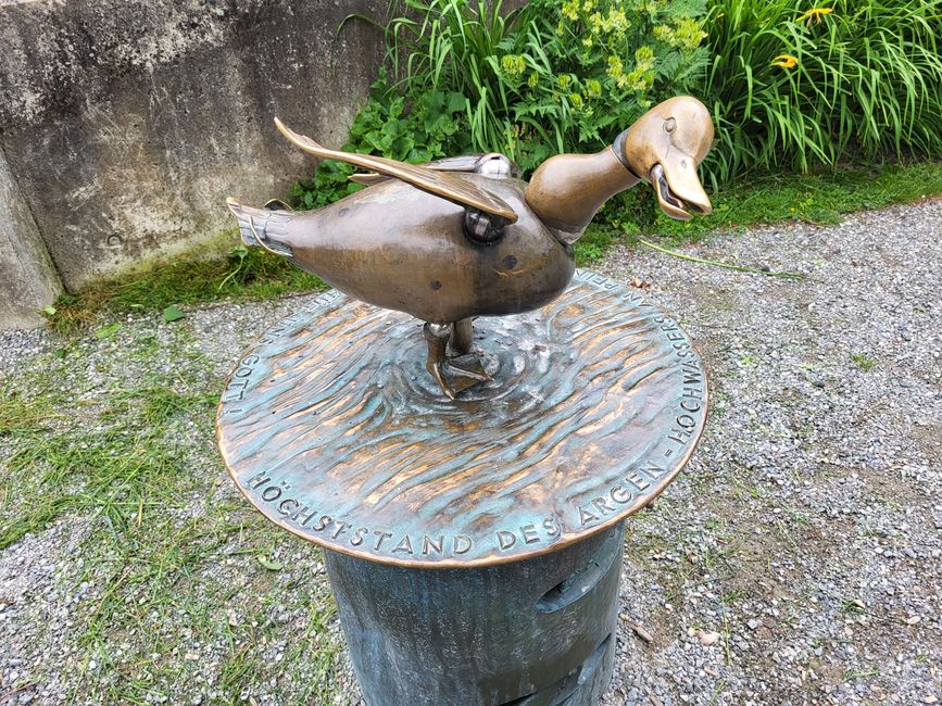Canard des inondations