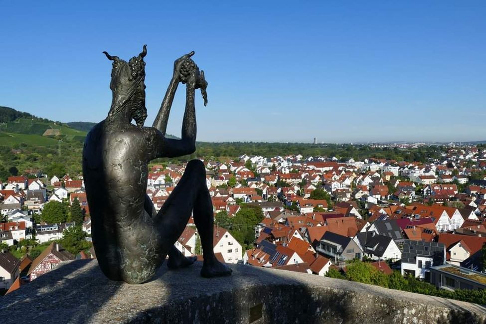 Zwischen Weinreben und Geschichte: Die Yburg im Fokus 📸