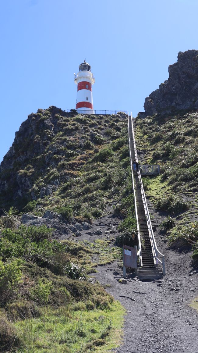 Cape Palliser Lighthouse