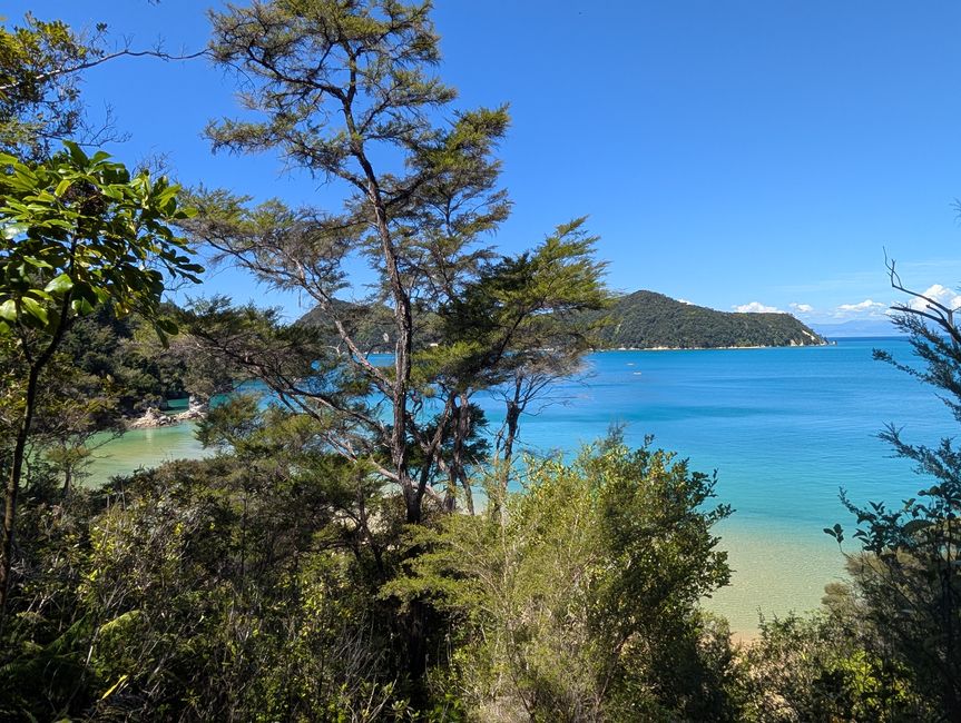 Auf ein paar Worte in Abel 
Tasman