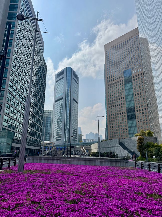 Parte 7
BENVENUTO IN GIAPPONE 🇯🇵
TOKYO