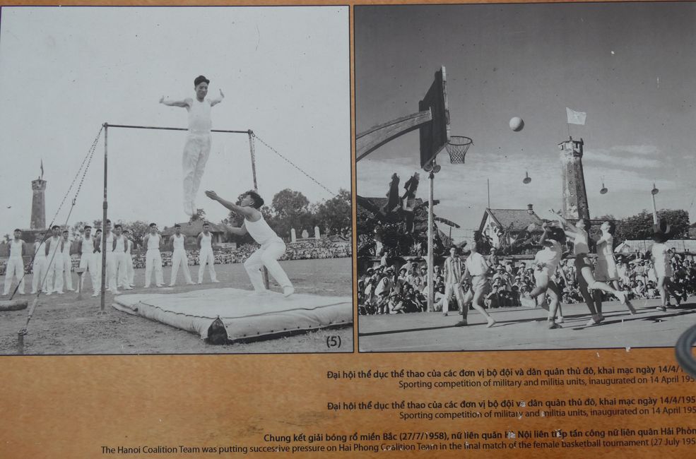In Deutschland gibt es Frauenbasketball schon seit 1954 in Vereinen.