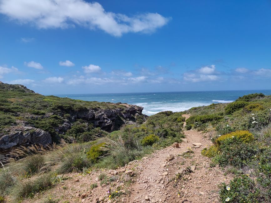 Sagres -> Vila do Bispo