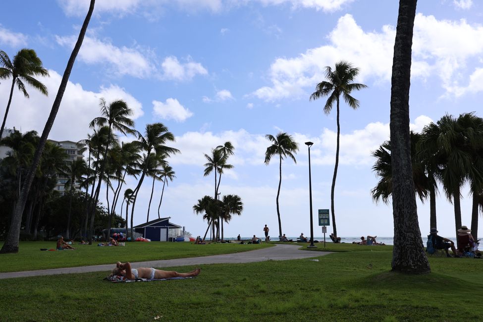 Addio alle Hawaii