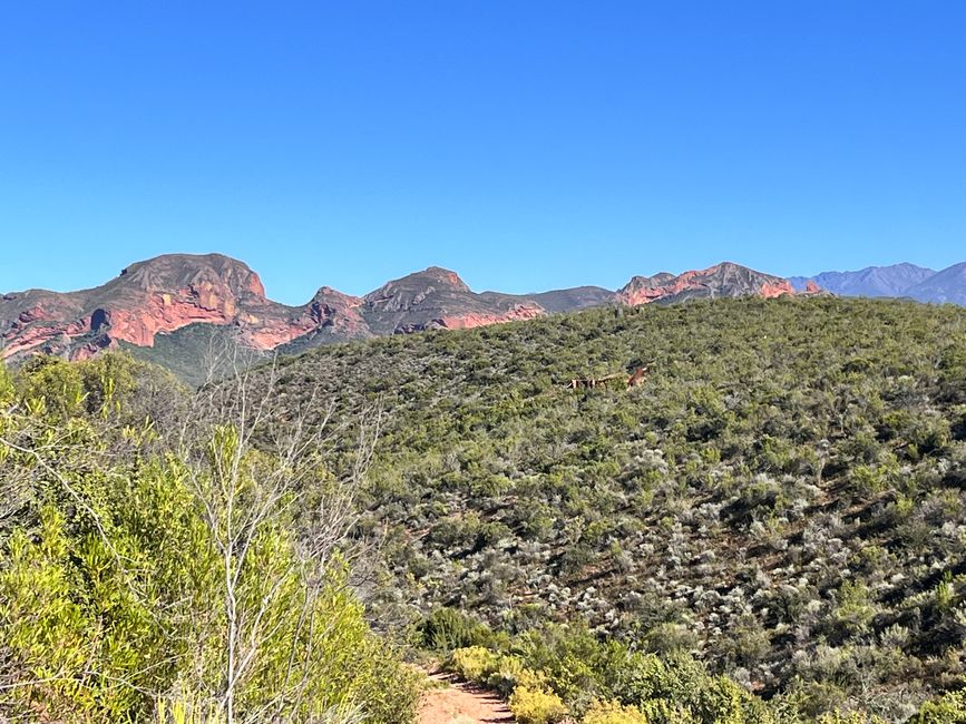 Aardts Cabins