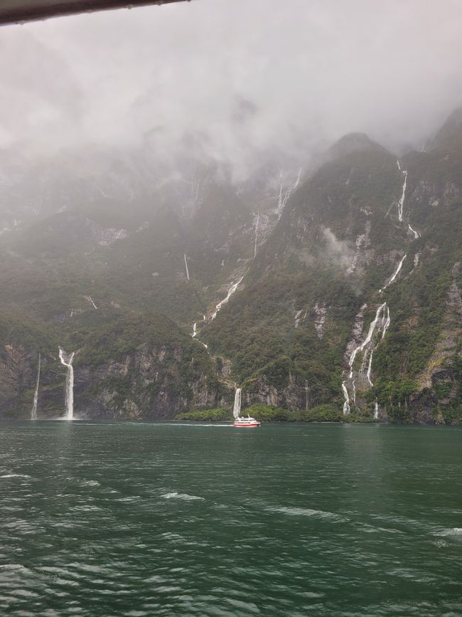 Tag 87 von 175: Kreuzfahrt rund um die Welt - Kreuzen im Milford Sound/Neuseeland