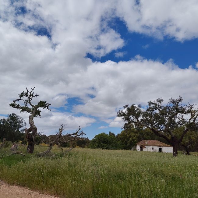 Cercal de Alentejo -> Vale Seco