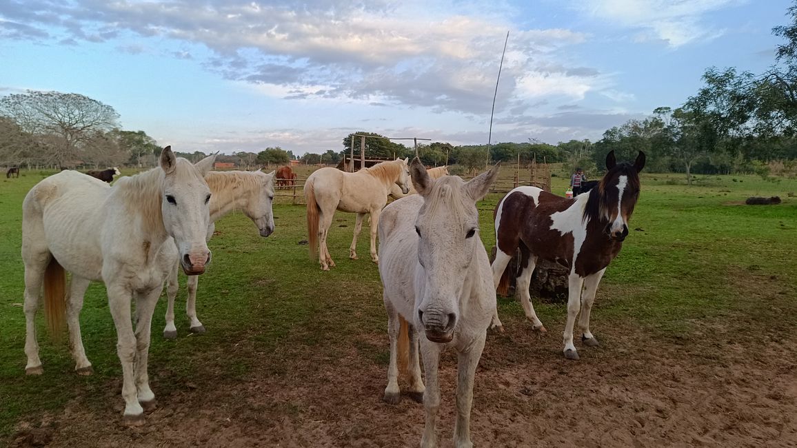 Paraguay_Caacupe_Aventura_Ranch (Juli 2025)