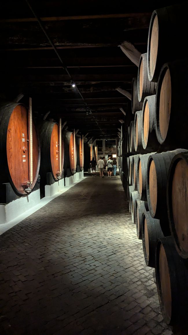 Day 17: Sightseeing in Porto