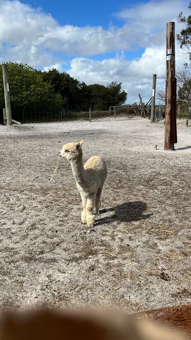 Parc des oiseaux et des animaux d'Esperance