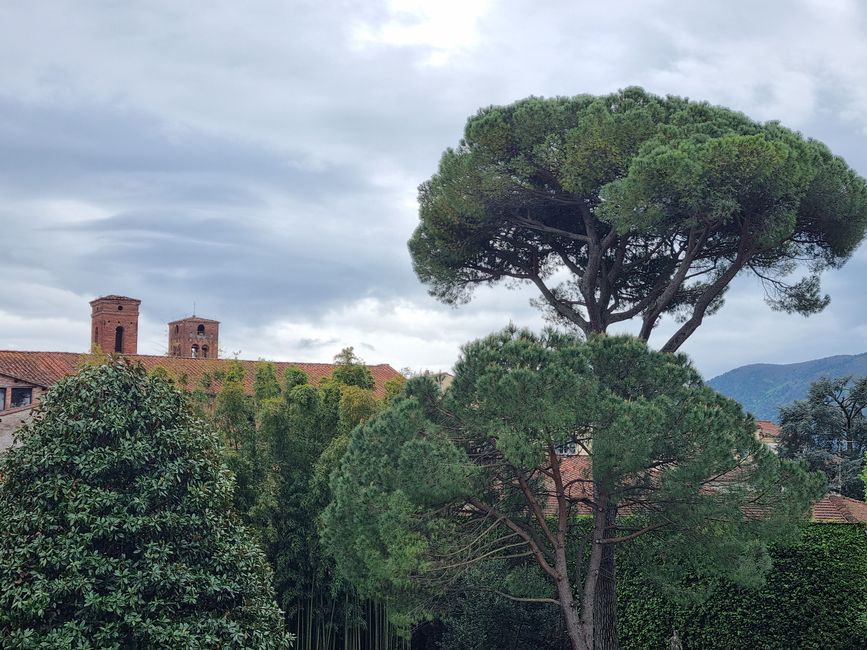 Italien im Frühling
Teil 1 Toscana