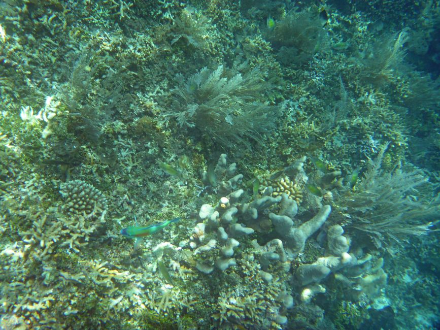 Waiag, Raja Ampat, Indonesia