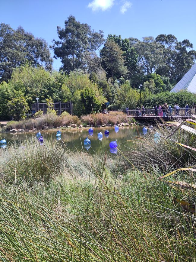 Botanischer Garten mit Kunst