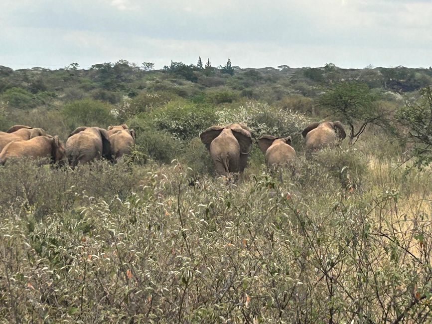 In the land of the Maasai