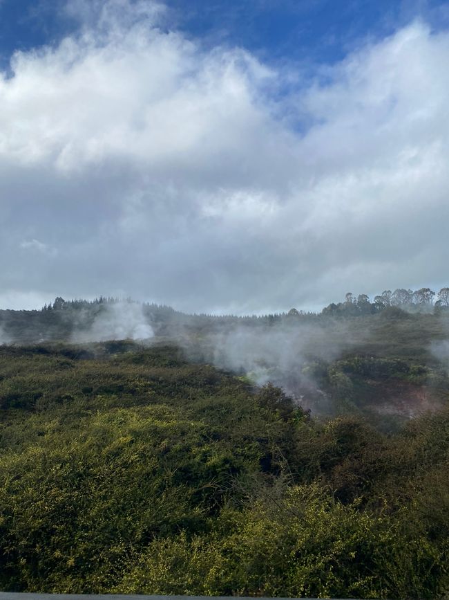 Taupo