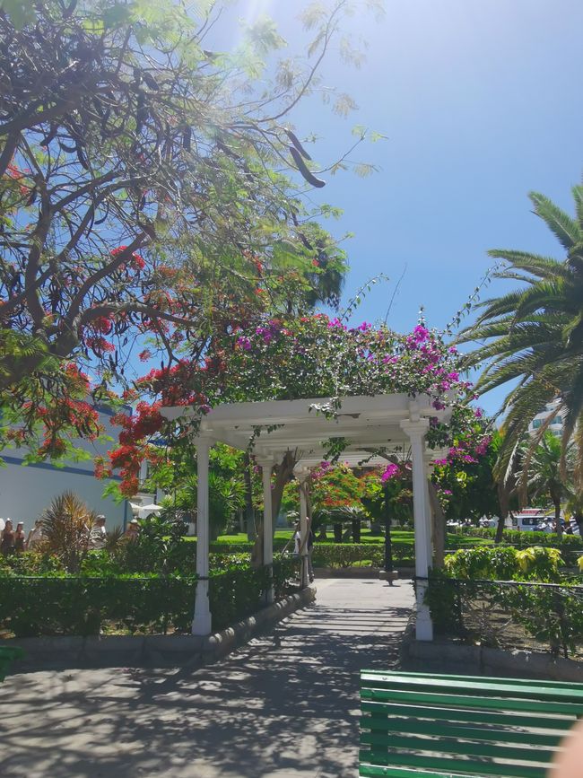 Gran Canaria Giugno 2024