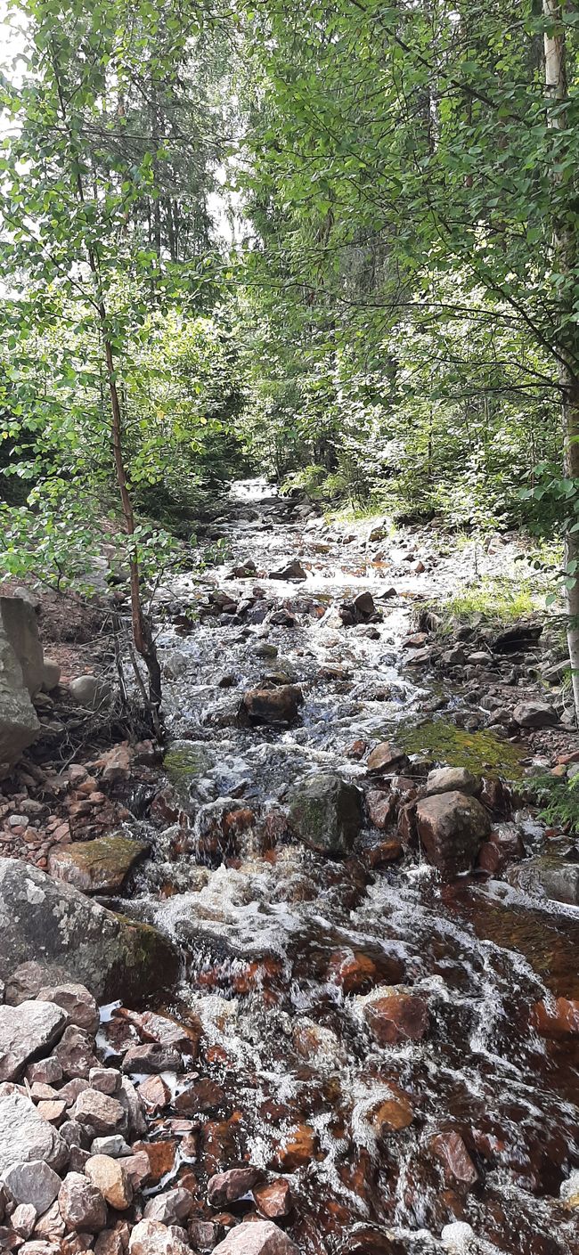 Hiking in the elk area (?)