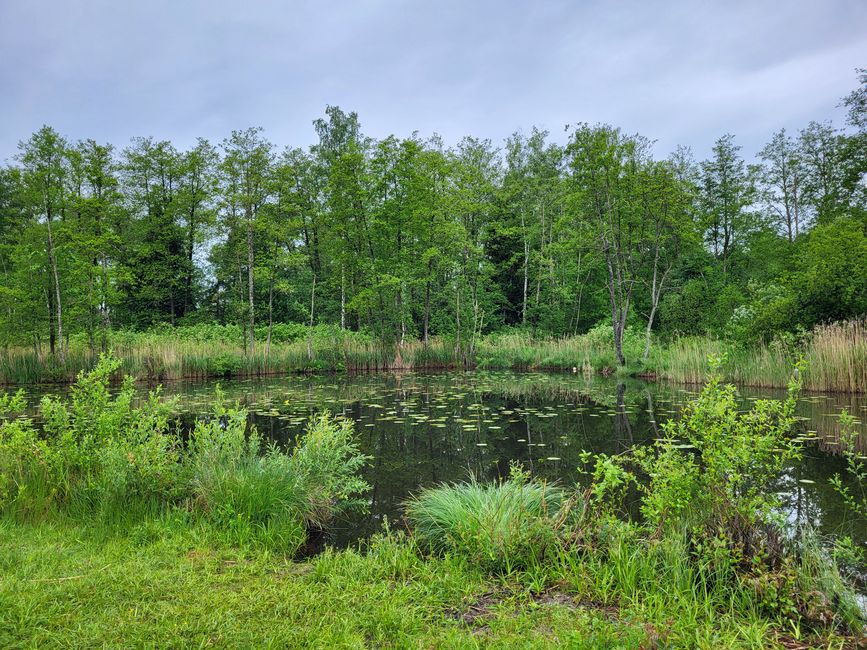 Wurzacher Ried