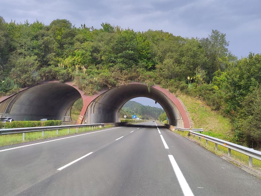 Ribadesella