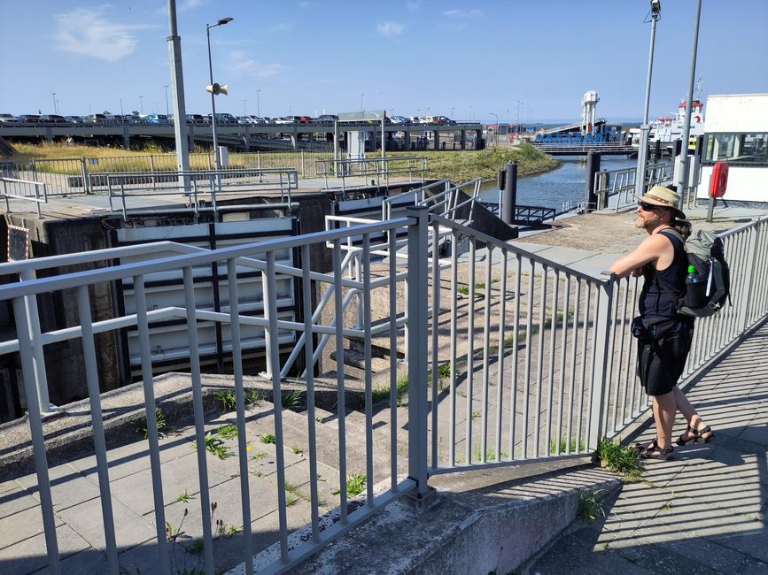 Centre de sauvetage des phoques de Lauwersoog
