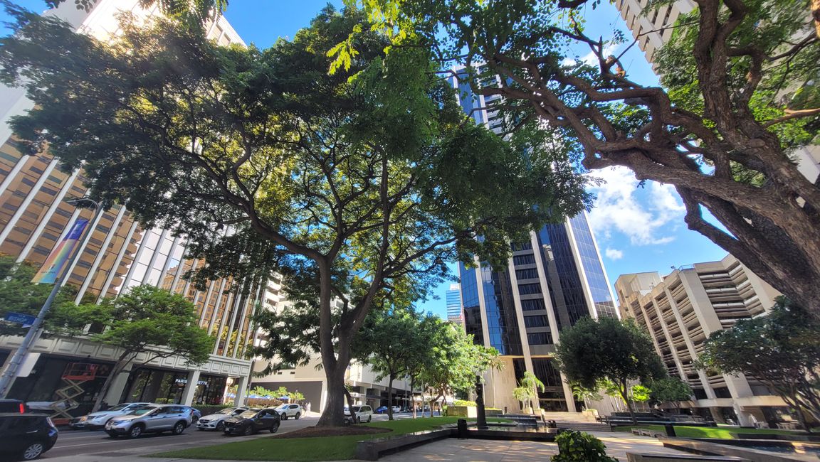 Downtown Honolulu – Fun at the Waikiki-Beach