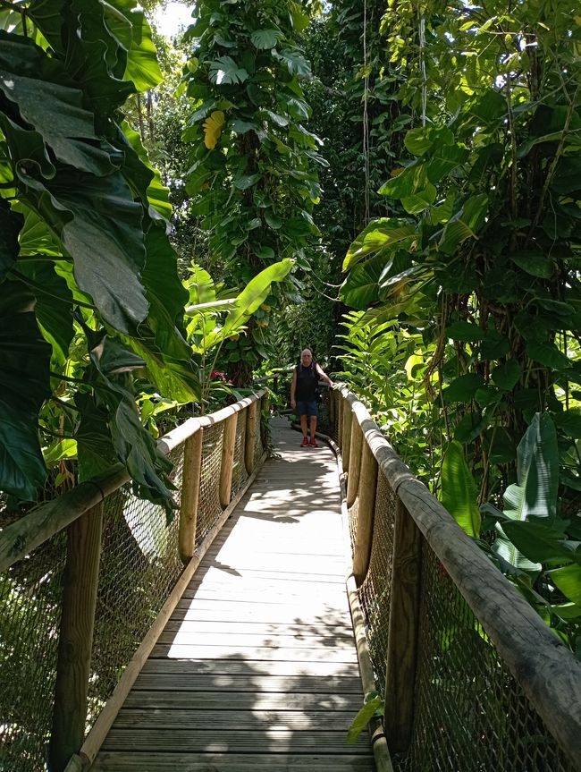 Zoo Guadeloupe
