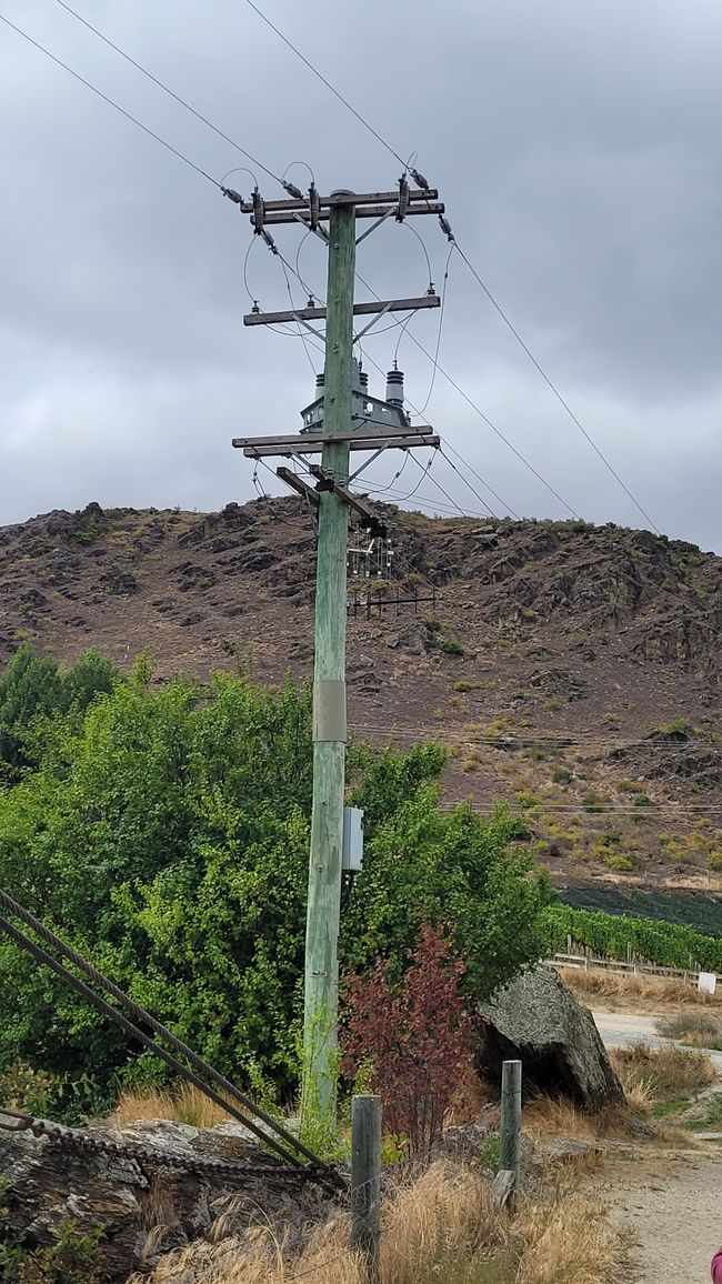 29.Januar-27.Februar 2025Neuseeland
10.Februar