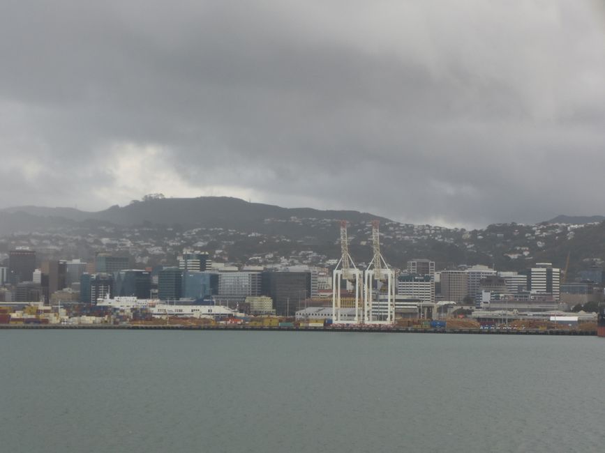 Wellington 