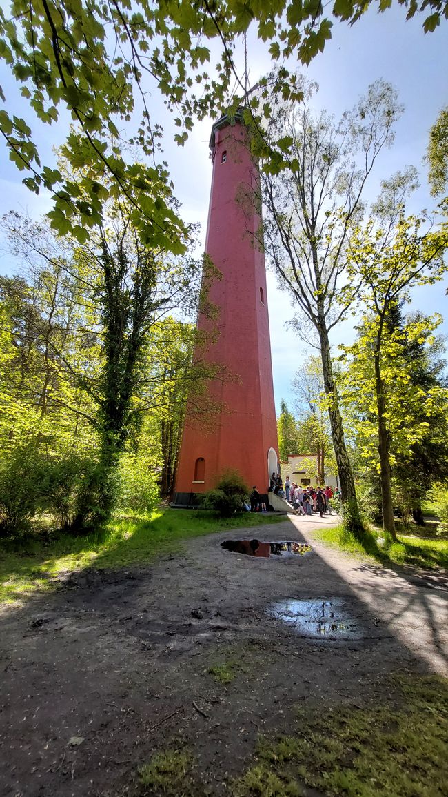 Faro