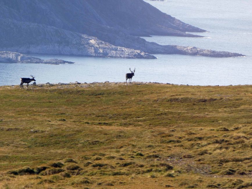 Honningsvåg & Nordkapp, August 17, 2024