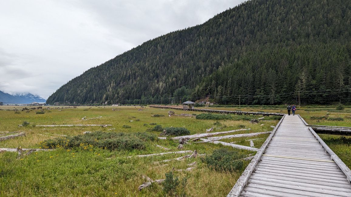 Estuary Boardwalk Stewart