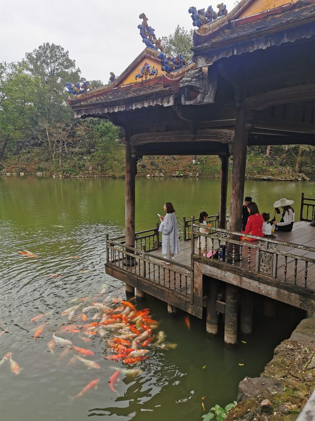 Recorrido por la antigua ciudad imperial de Hue