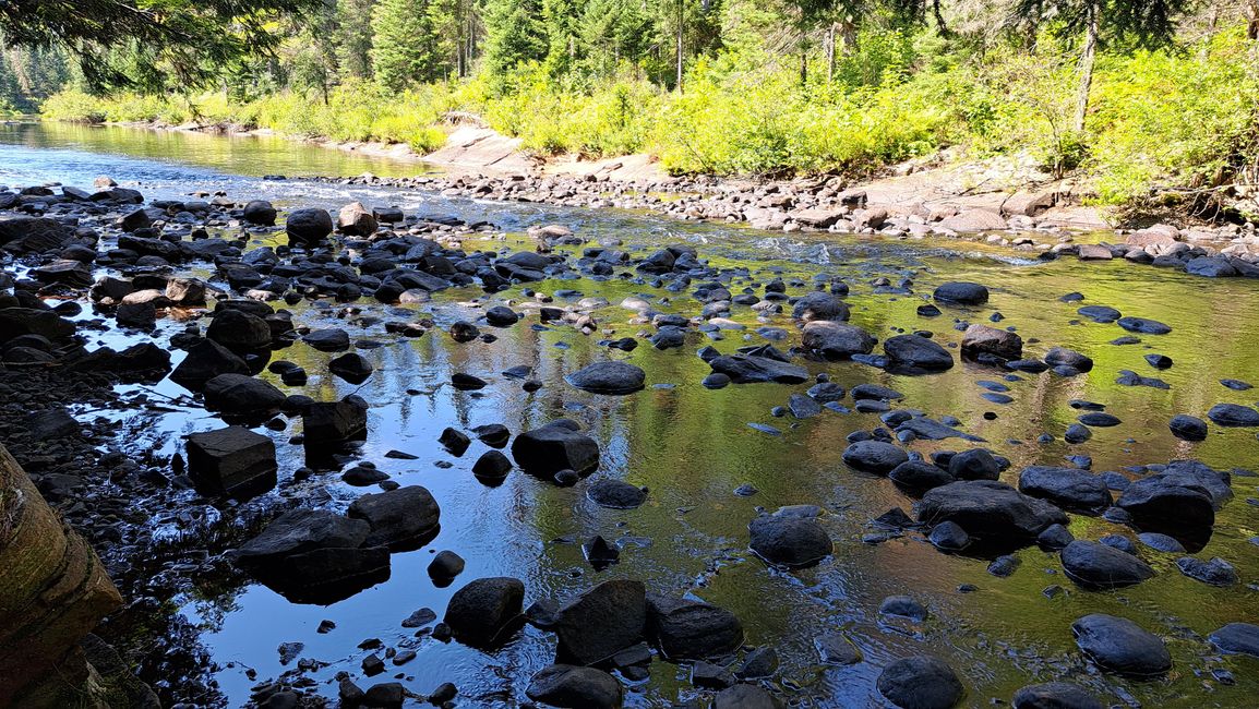 Oxtongue River 