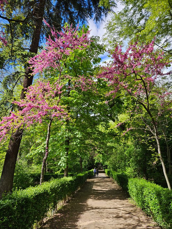 Parco del Retiro