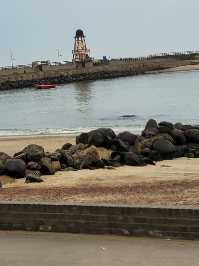 Jour 146 et 147/148 sur 175 : Croisière autour du monde : Walvis Bay/Namibie et deux jours en mer