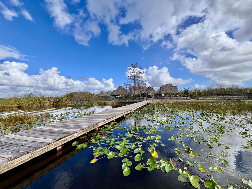 Tag 375 - Airboat-Tour @ Everglades