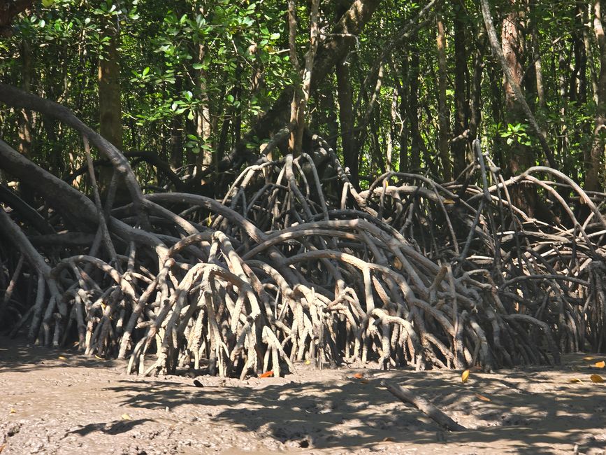 Langkawi - Reif für die Insel!