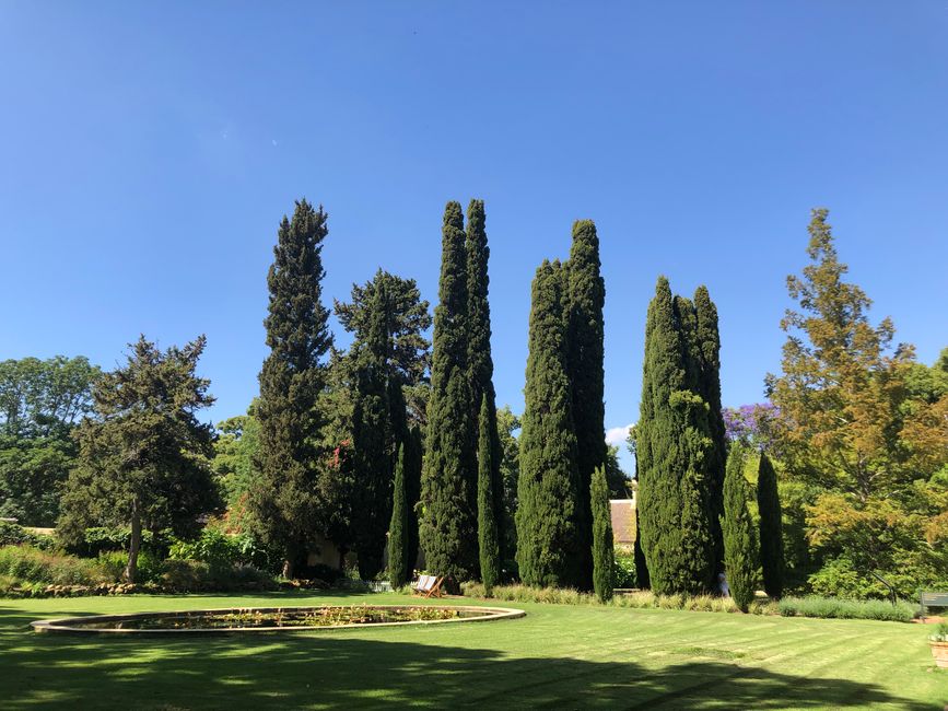 Vergelegen Wine Estate