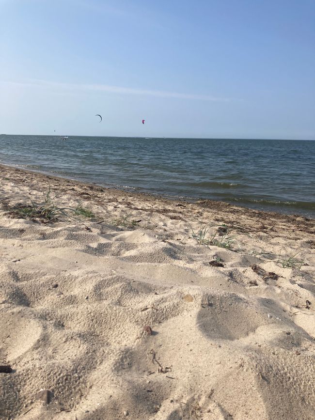 Greifswald und über die Freude im Großen und im Kleinen