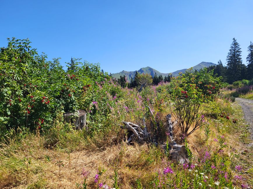 Caminata “Le cirque de la Fontaine Salée”