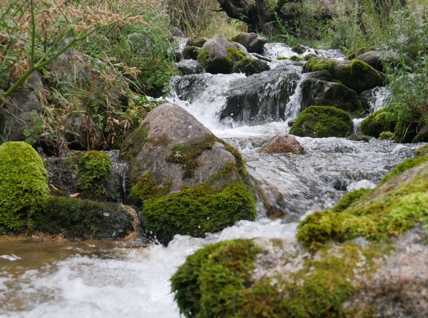 Attraversamento del Passo nel massiccio del Ile-Alatau