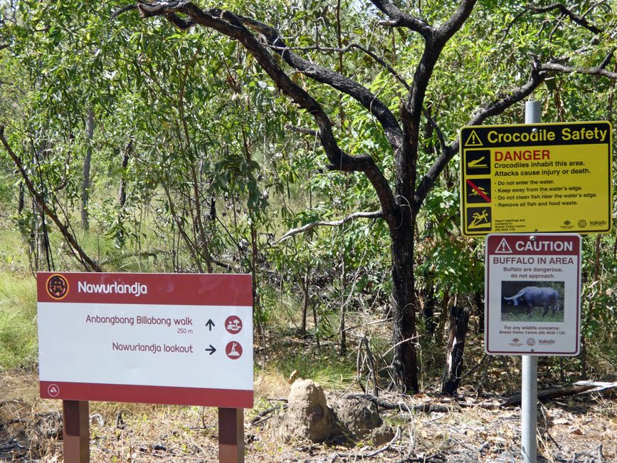 Kakadu National Park, Jabiru, Australien, Tag 2