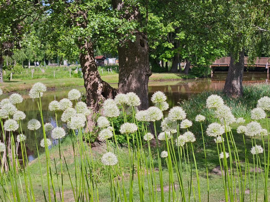 Stadtpark 