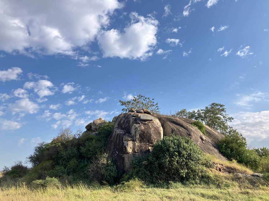 En la Serengeti - Día 2